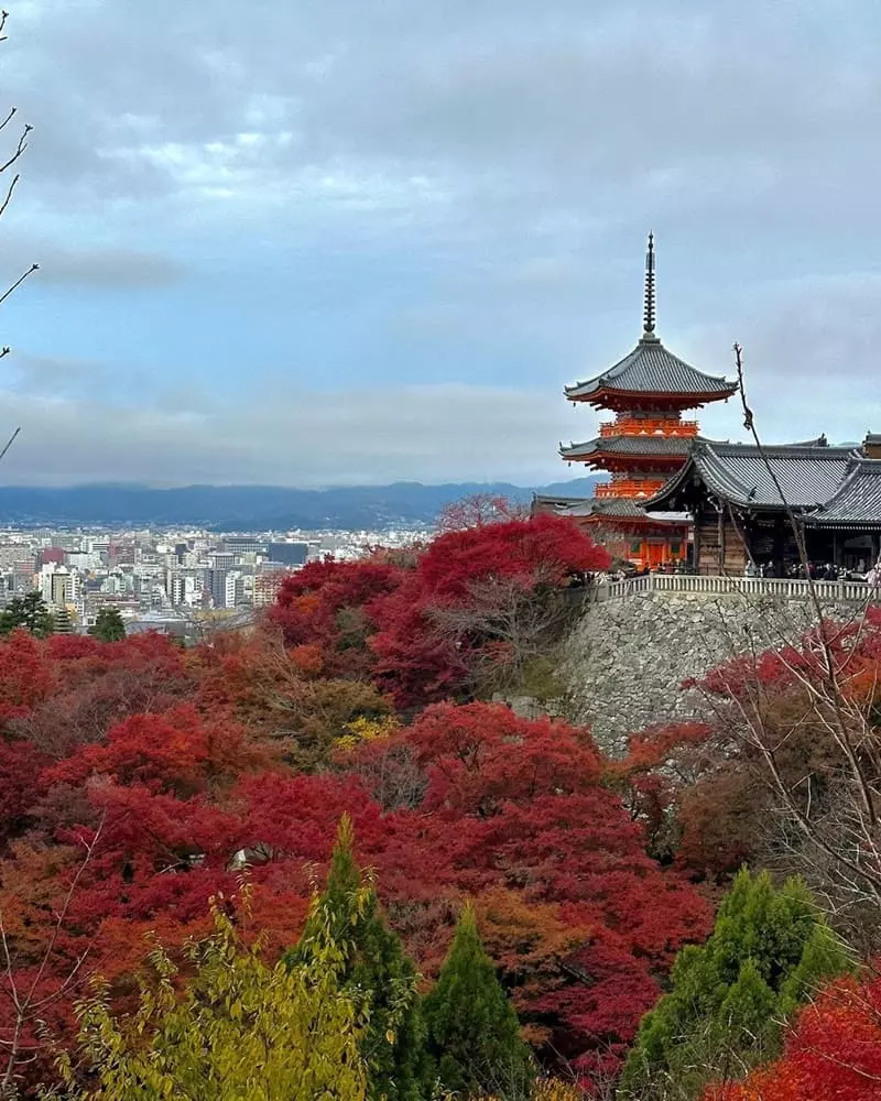 人生第一次的日本賞楓之旅，美到前面遇到的衰事都不算什麼一切都值得了

這次京都之旅就是楓葉看到飽和服穿到爽，我們就是楓葉特戰部隊!!