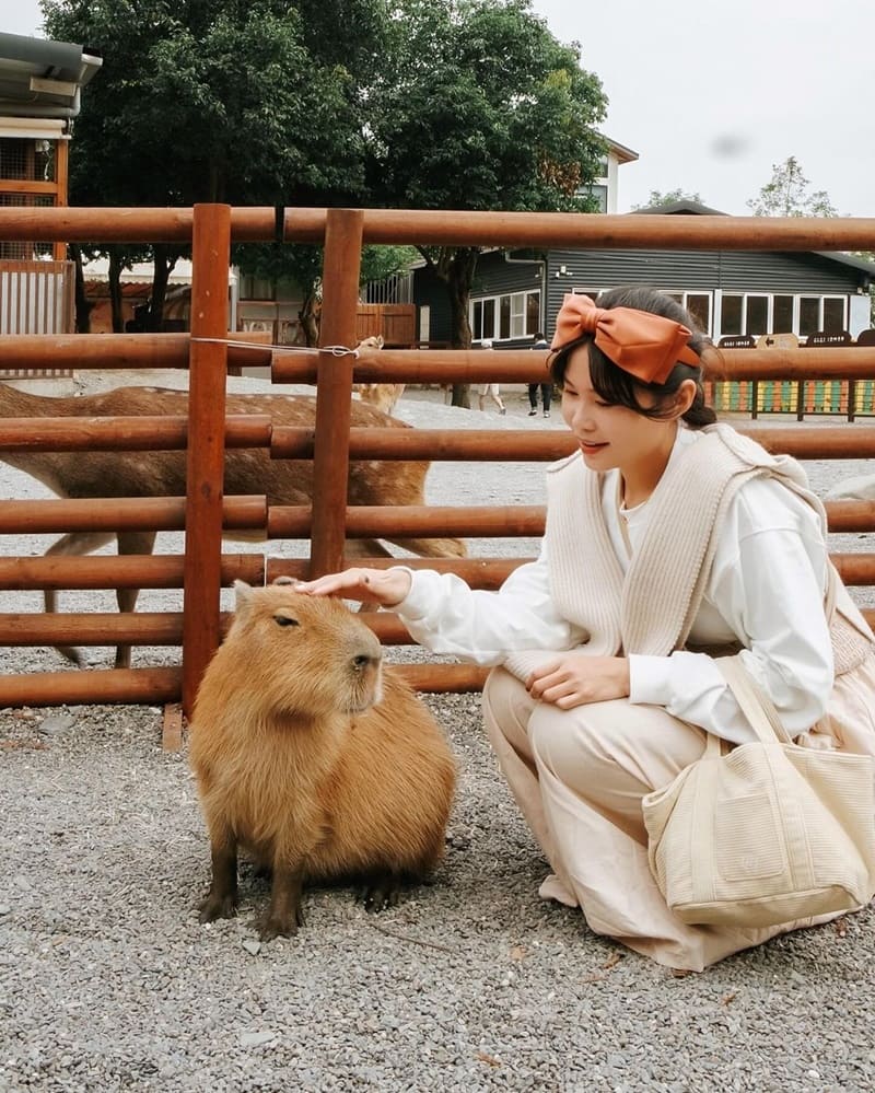 「斑比山丘」宜蘭迷人動物樂園｜專屬設計爲你帶來可愛生活小物，零距離互動體驗療癒滿滿！