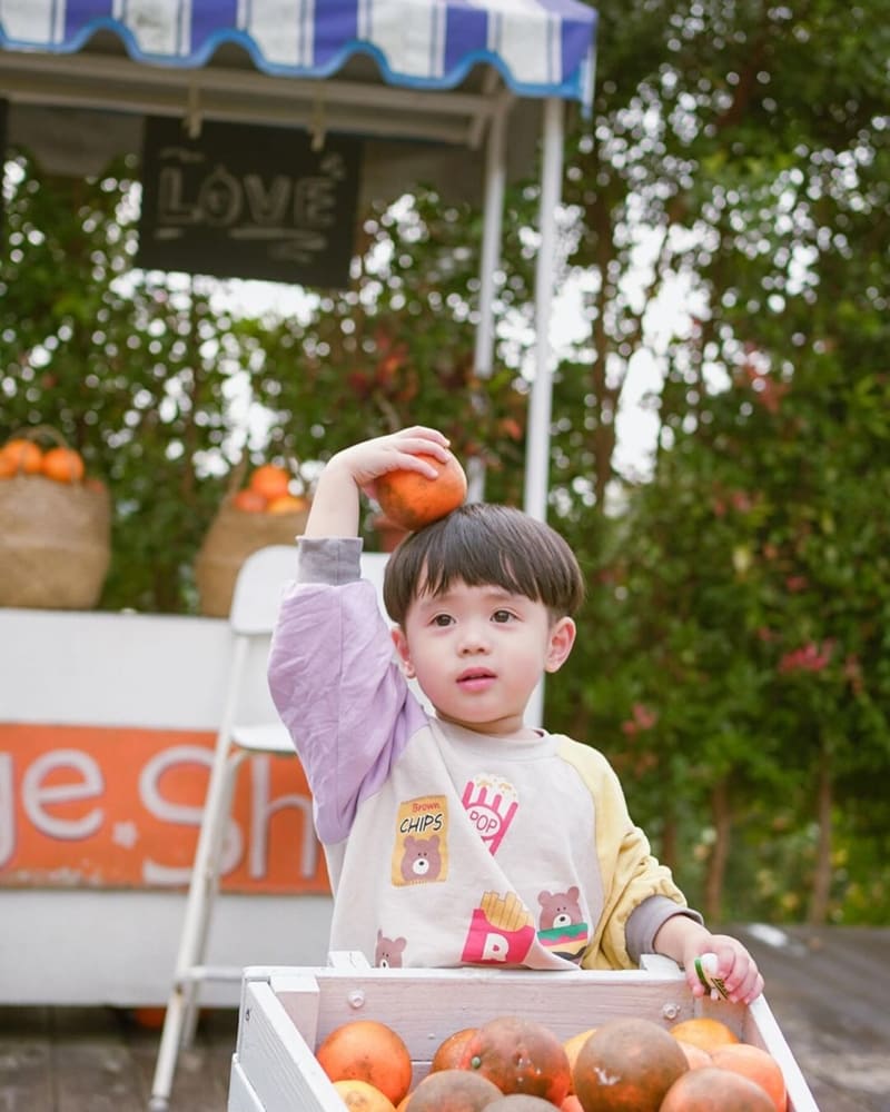 「橙香森林 」苗栗頭屋二訪最美橘子園｜每年必來景點、氛圍感十足、體驗DIY活動！