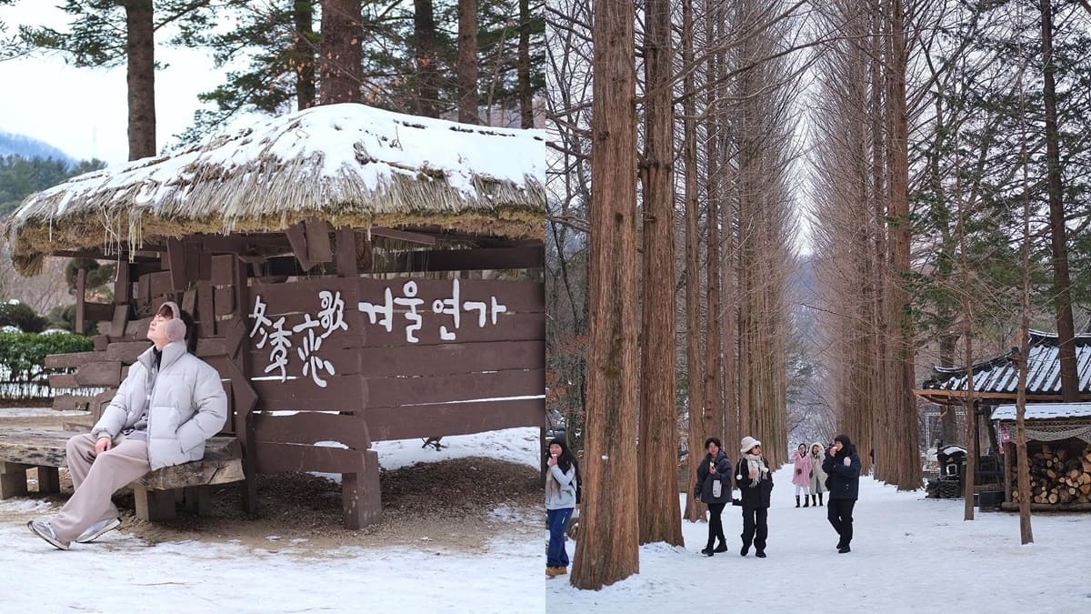 「南怡島」韓劇取景地，雪景浪漫，船上欣賞美景，韓國之旅別有韻味，EJ推薦！