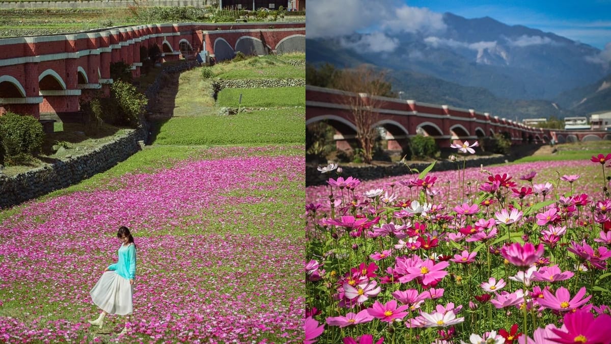 鹿野瑞隆村，隱藏在台東的花東縱谷中，是一處寧靜而迷人的地方。 這裡有著令人陶醉的二層坪水橋，其粉紅色的拱形身影在田野間綿延著，成為鄉間風情的最佳代表。