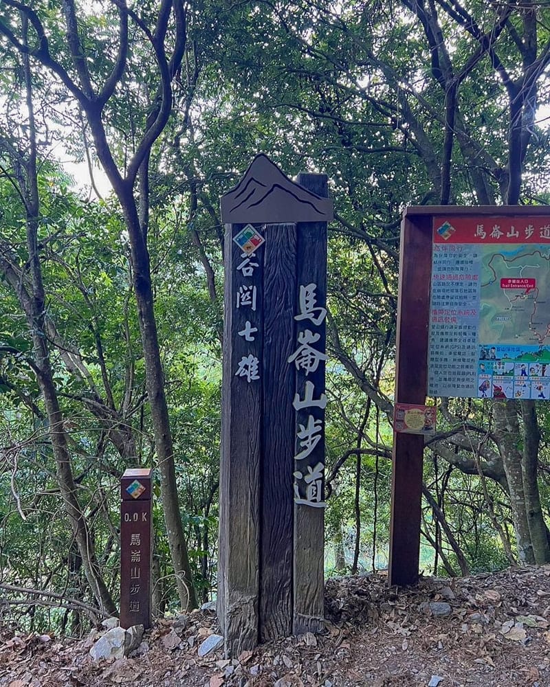 「馬崙山步道」谷關七雄五星級步道｜魔法森林美名、夢幻優美、接近大自然！