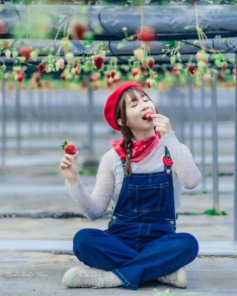 身為草莓腦粉 冬季到日本一定要吃草莓啊，這次來到岡山县最大的溫室採草莓園！ 重點是市區公車可以直達，不自駕也可以抵達超級讚！！