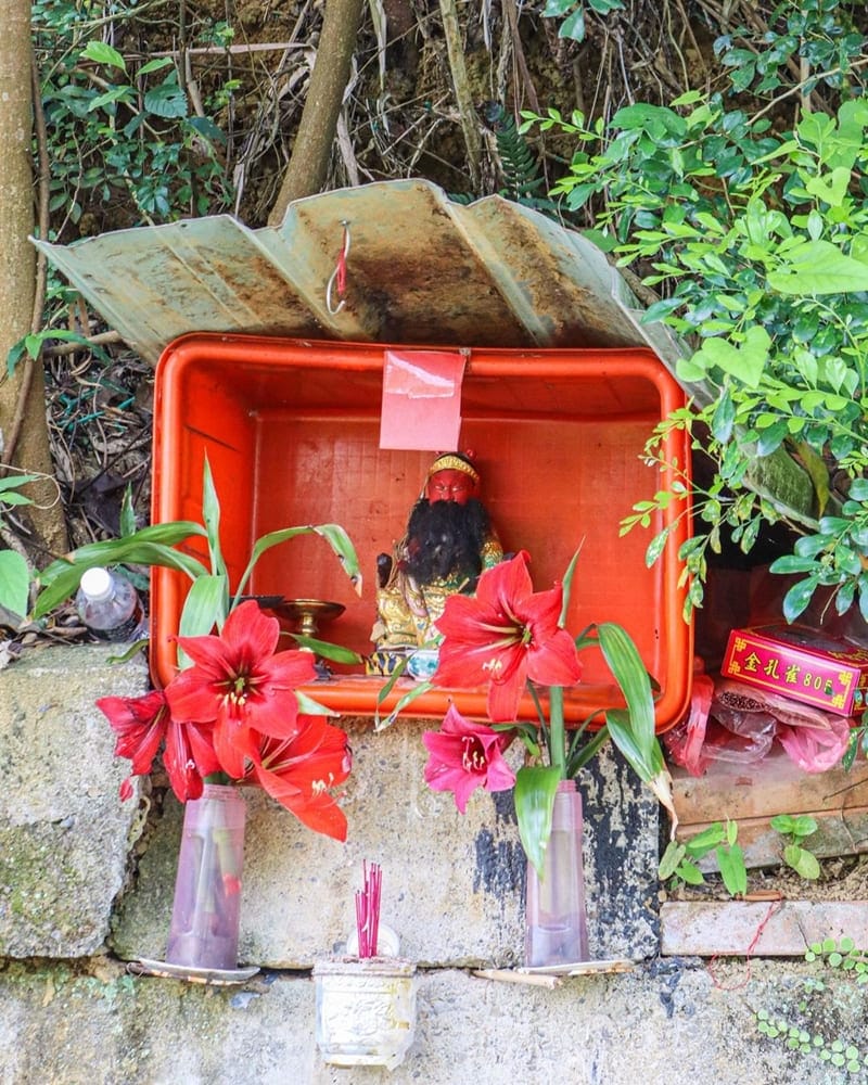 「寶山桐花之旅」新竹一日遊｜雙胞胎井、寶二水庫、油桐花映山湖美景！