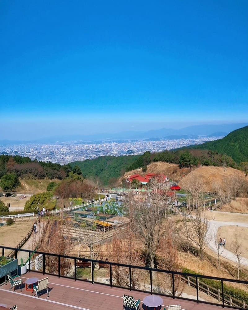 「Aburayama Fukuoka」日本福岡淳樸秀麗風景！初次體驗擠牛乳、騎馬、餵動物！