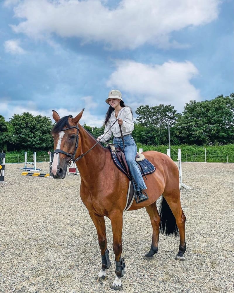 「尼普頓馬術創藝園區」新竹馬場參觀體驗！與馬兒零距離互動、騎馬刷毛穿裝備！