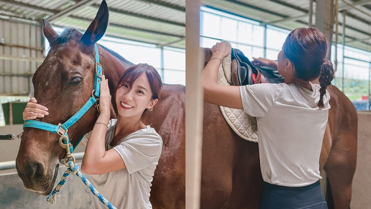 「尼普頓馬術創藝園區」近距離與馬兒親密接觸！梳髮刷毛、馬鞍配件、讓人意猶未盡！