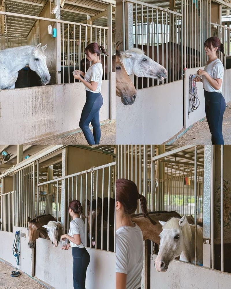 「尼普頓馬術創藝園區」近距離與馬兒親密接觸！梳髮刷毛、馬鞍配件、讓人意猶未盡！