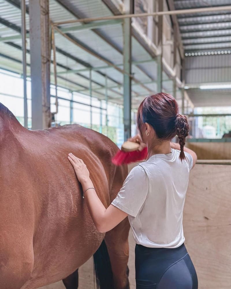 「尼普頓馬術創藝園區」近距離與馬兒親密接觸！梳髮刷毛、馬鞍配件、讓人意猶未盡！