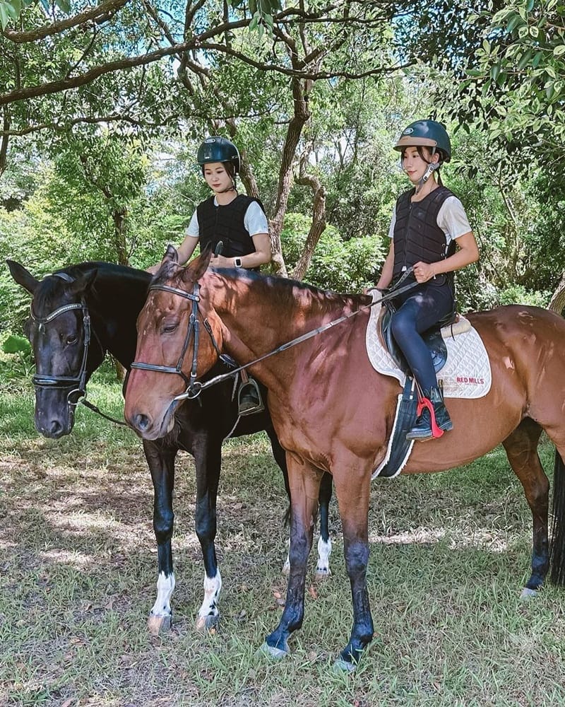 「尼普頓馬術創藝園區」近距離與馬兒親密接觸！梳髮刷毛、馬鞍配件、讓人意猶未盡！