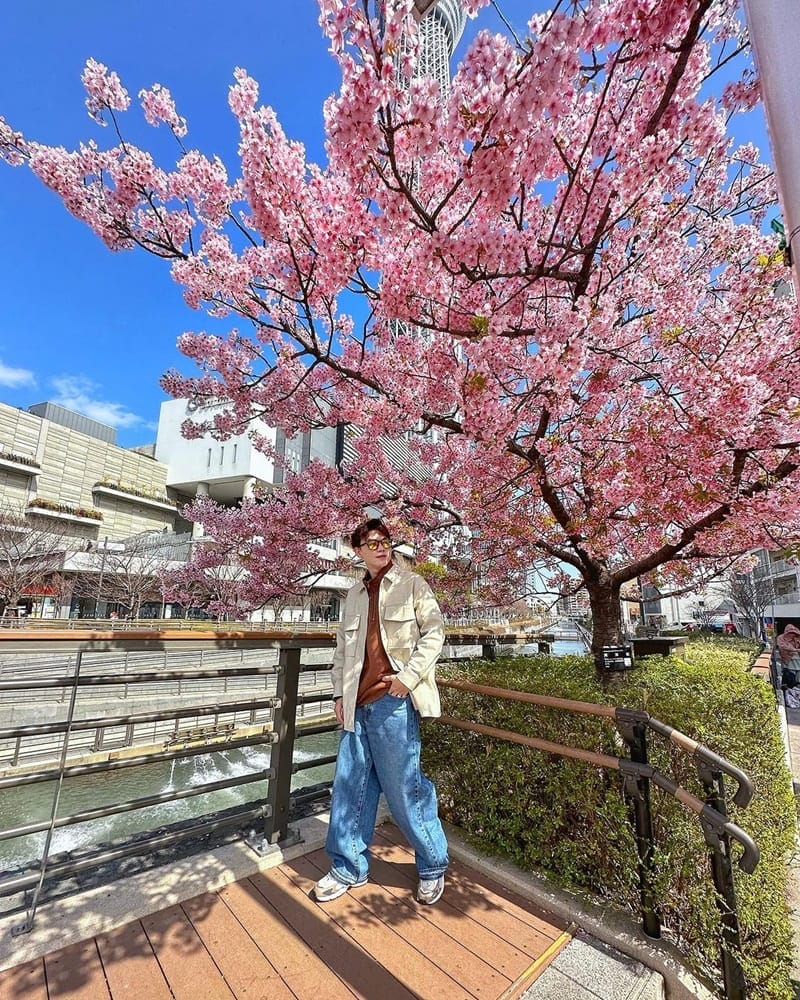 「晴空塔」探訪東京地標！近距離體驗壯麗景致、東武橋視角捕捉滿天櫻花與蔚藍天空！