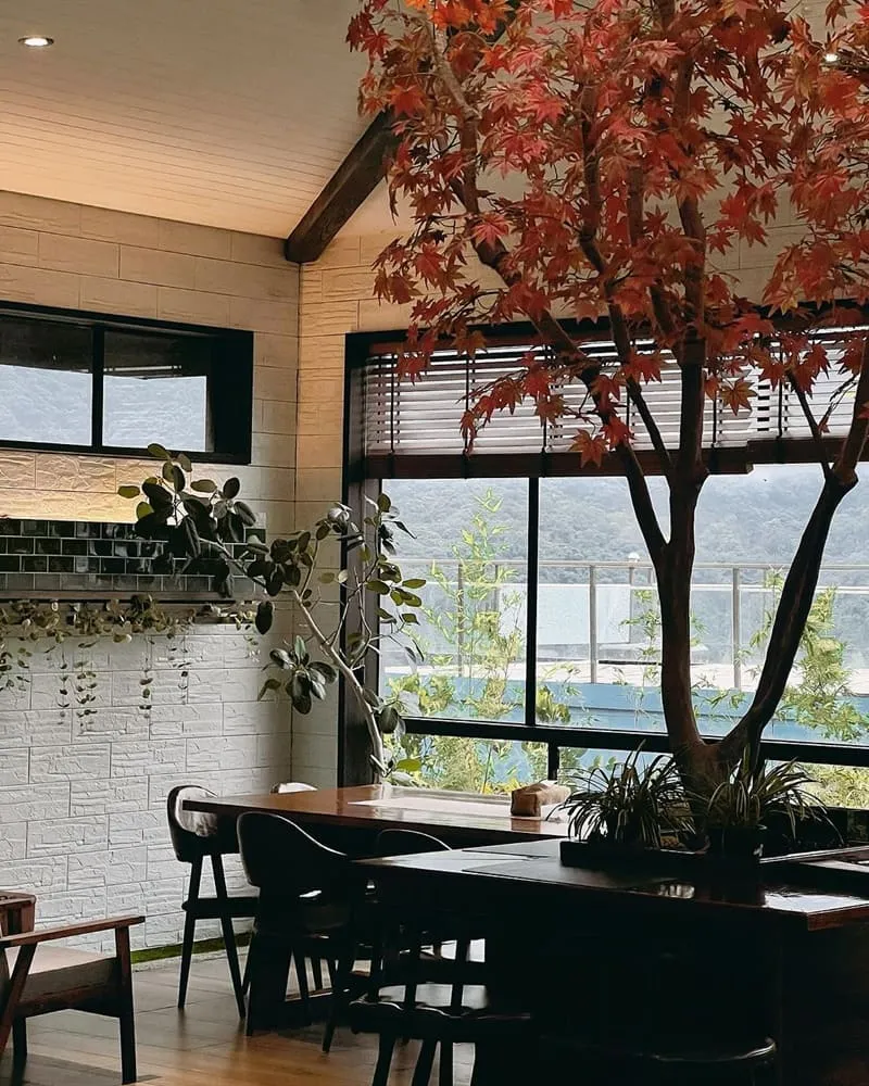 「金山猿咖啡」新北金山秘境甜點小店！群山環繞舒適、金山山景咖啡廳、Zora推薦！